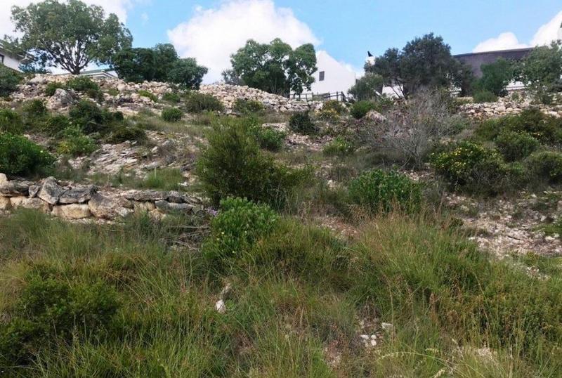 0 Bedroom Property for Sale in Stilbaai Wes Western Cape